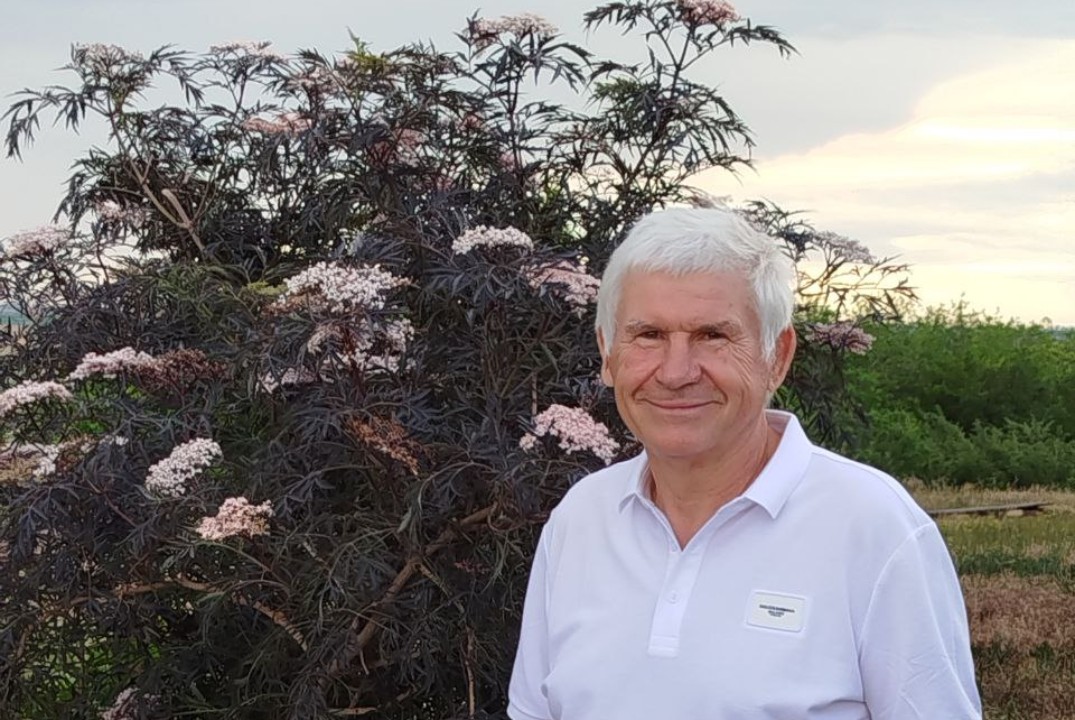 Мой путь в ландшафтном дизайне