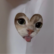 Ечин Денис Сергеевич Ечин Денис Сергеевич