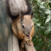 Потапов Иван Михайлович