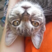 Бохан Даша Сергеевна Бохан Даша Сергеевна