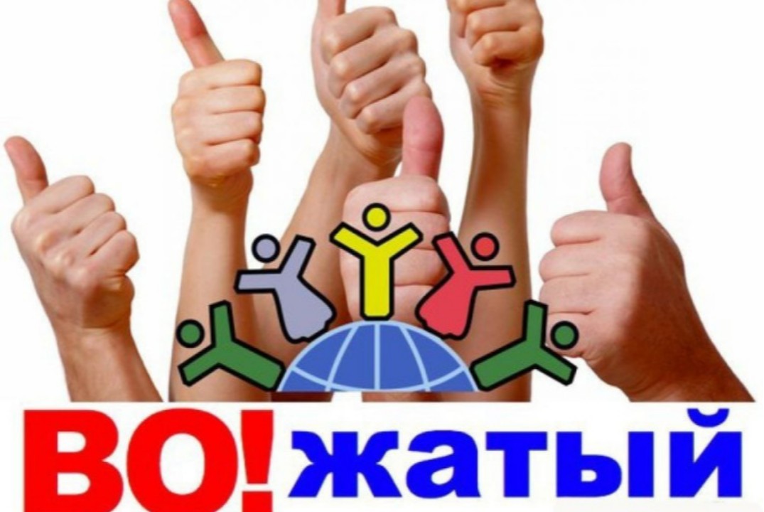 Программа профессиональной подготовки по профессии "Вожатый"