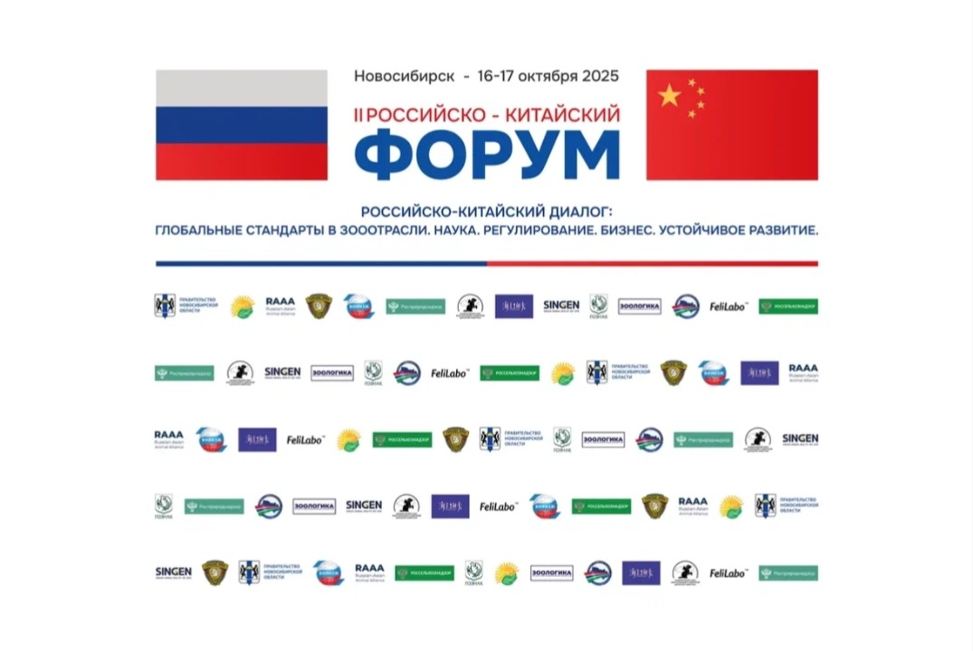 Российско-китайский форум