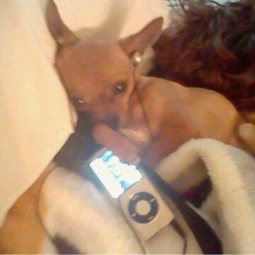 Шаповалова Виктория Евгеньевна Шаповалова Виктория Евгеньевна