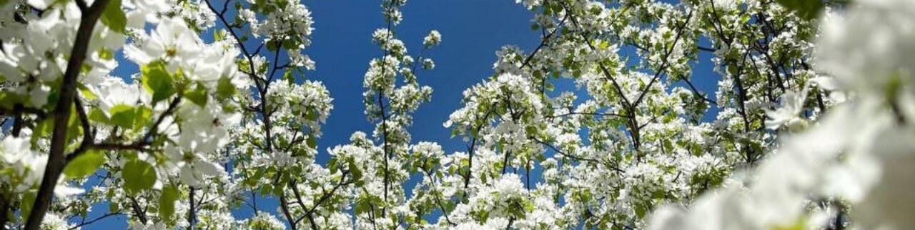 Обложка профиля