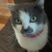 Баздеркина Ангелина Андреевна