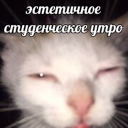 Хмелевская Софья Александровна