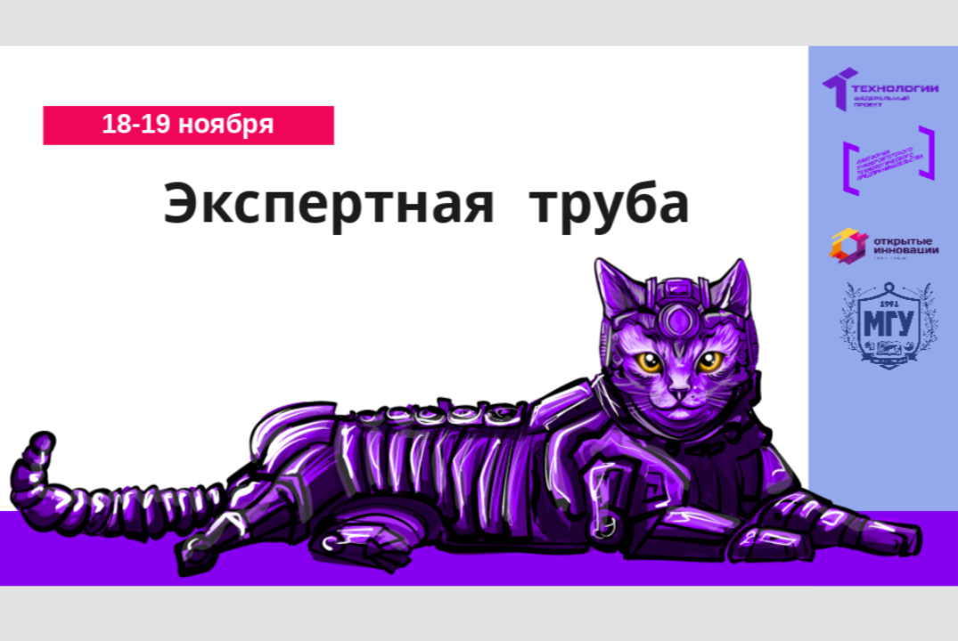 Экспертная труба