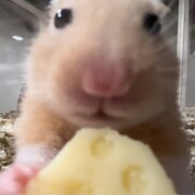 Зюзько Егор Валерьевич