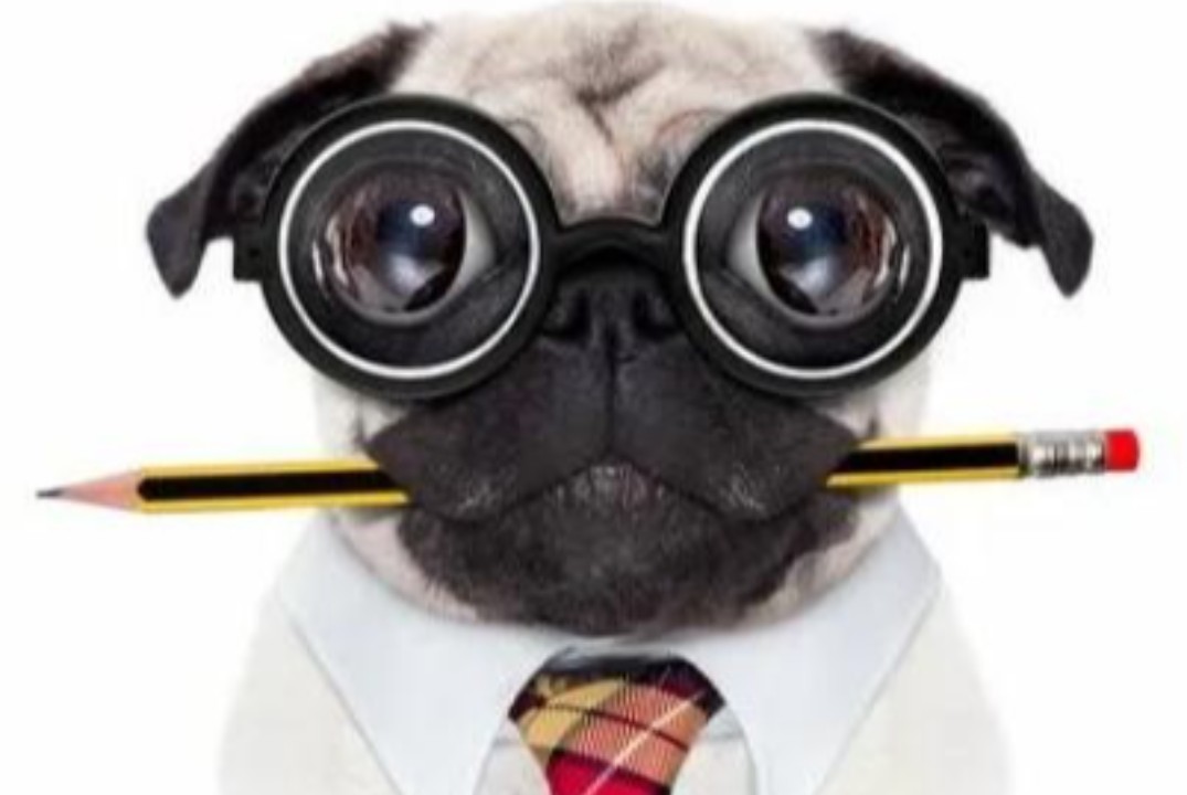 Стартап сессия "Профессия: мой код доступа к реальным изм...