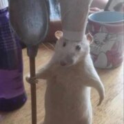 Солодов Дмитрий Сергеевич