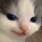 Борисов Николай Николаевич Борисов Николай Николаевич