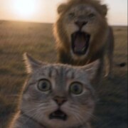 Кудрявцев Никита Александрович