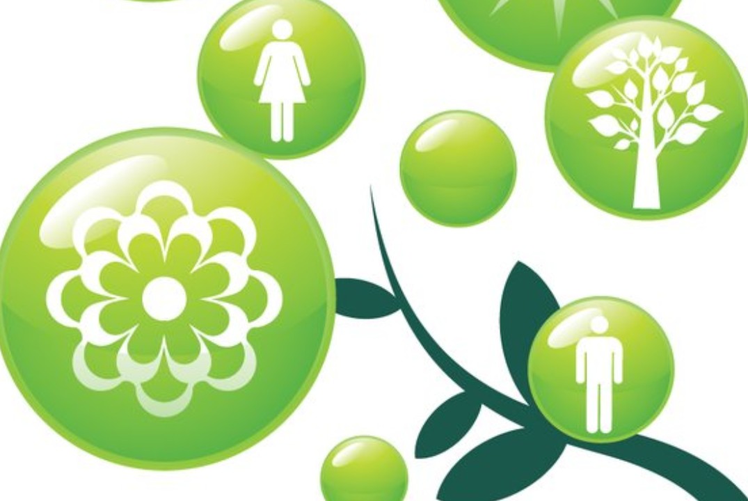 Мастер-класс "Инструменты профайлинга в предпринимательск...