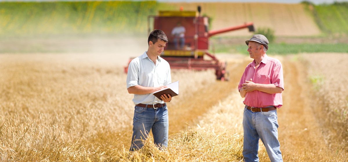 Социальный контракт на открытие своего дела: основания, п...