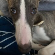 Трошков Данил Михайлович