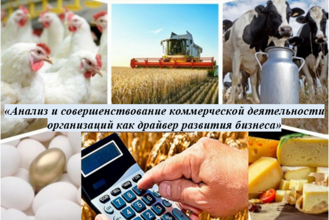 «Анализ и совершенствование коммерческой деятельности орг...