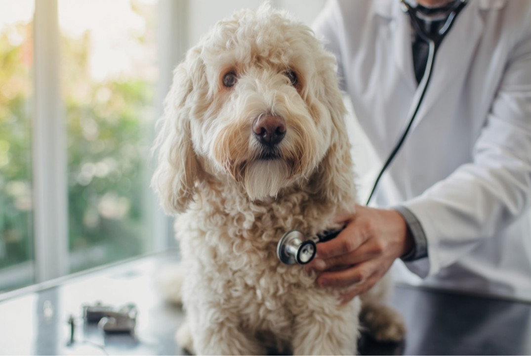 Конференция "Клинический случай"