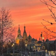 Митрофанова Софья Валентиновна