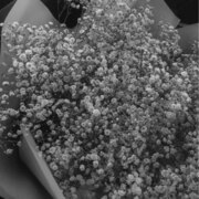 Савенко Ульяна Денисовна