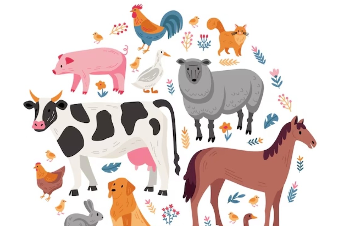 Вопросы лабораторной диагностики и профилактики лейкоза у продуктивных и домашних животных