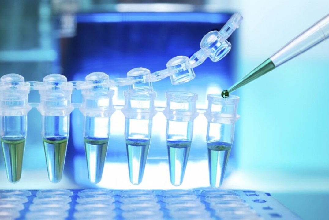 Использование метода амплификации нуклеиновых кислот для...