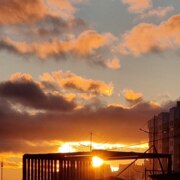 Эдиков Дамир Исаевич