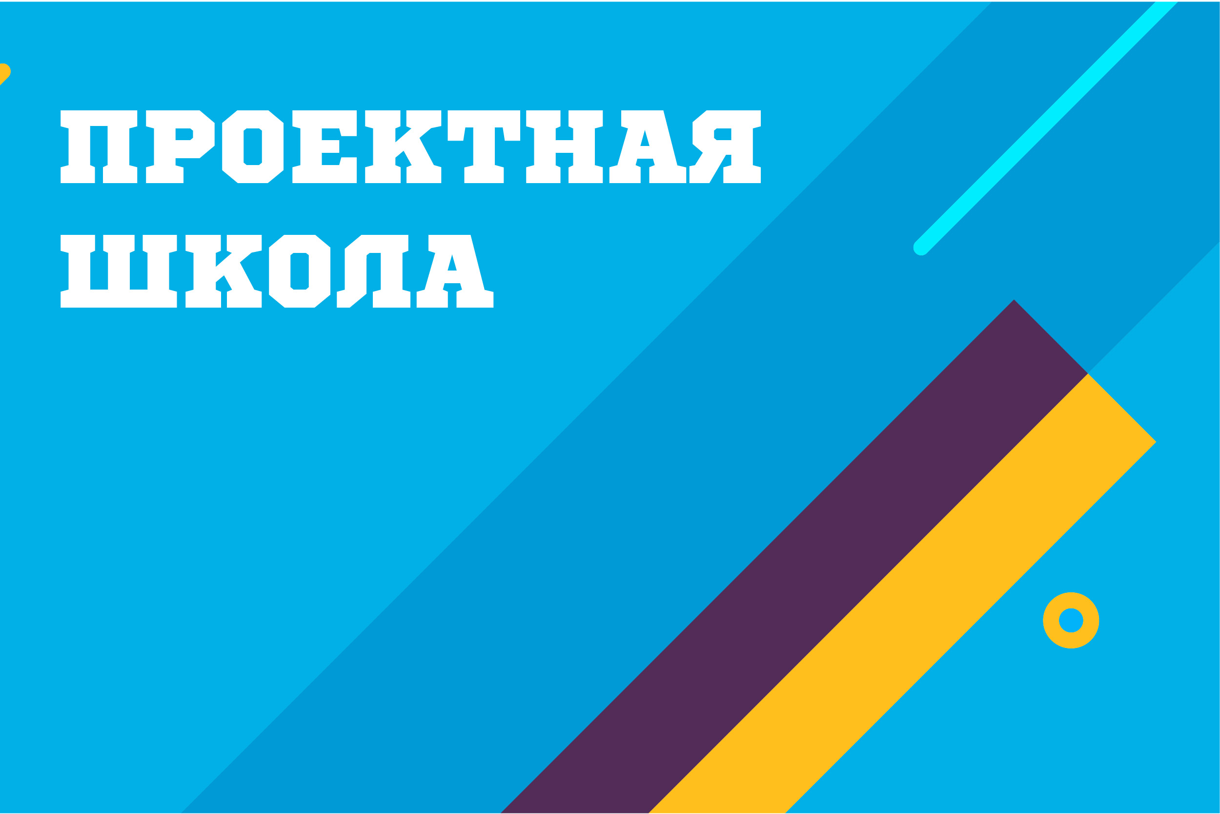 Проектная школа (соц. проектирование)