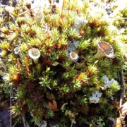 Колупаев Святослав Колупаев Святослав