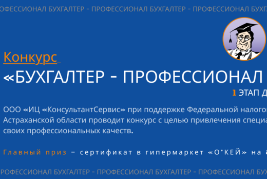 Бухгалтер - профессионал 2025
