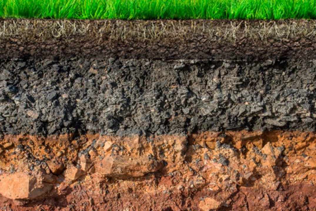 Поверхностные явления в структурообразовании и мелиорации...