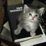 Гранкина Елизавета Викторовна Гранкина Елизавета Викторовна