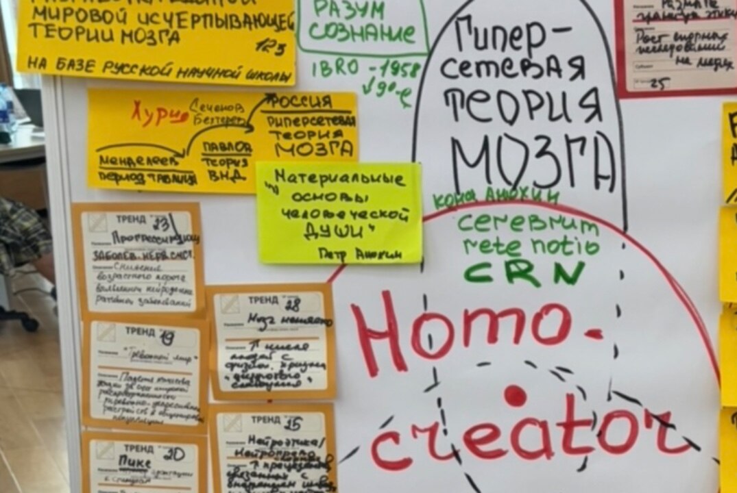 Россия - гиперсетевой интегратор нейронаук и нейропрактик. Теория мозга. Модель «кротовых нор» мозга.