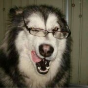 Городецкая Эля Александовна Городецкая Эля Александовна