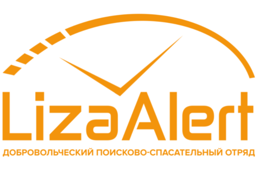 Рыжая Ёлка ДПСО "ЛизаАлерт"
