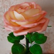 Поснова Анна Николаевна