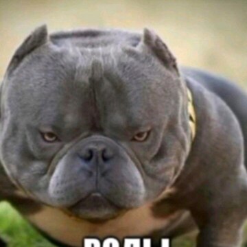 Дерябкина Катюша Викторовна Дерябкина Катюша Викторовна