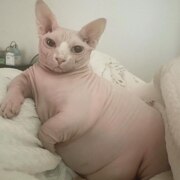 Минаев Георгий Анатольевич