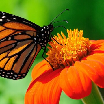 Игорь  Красильников