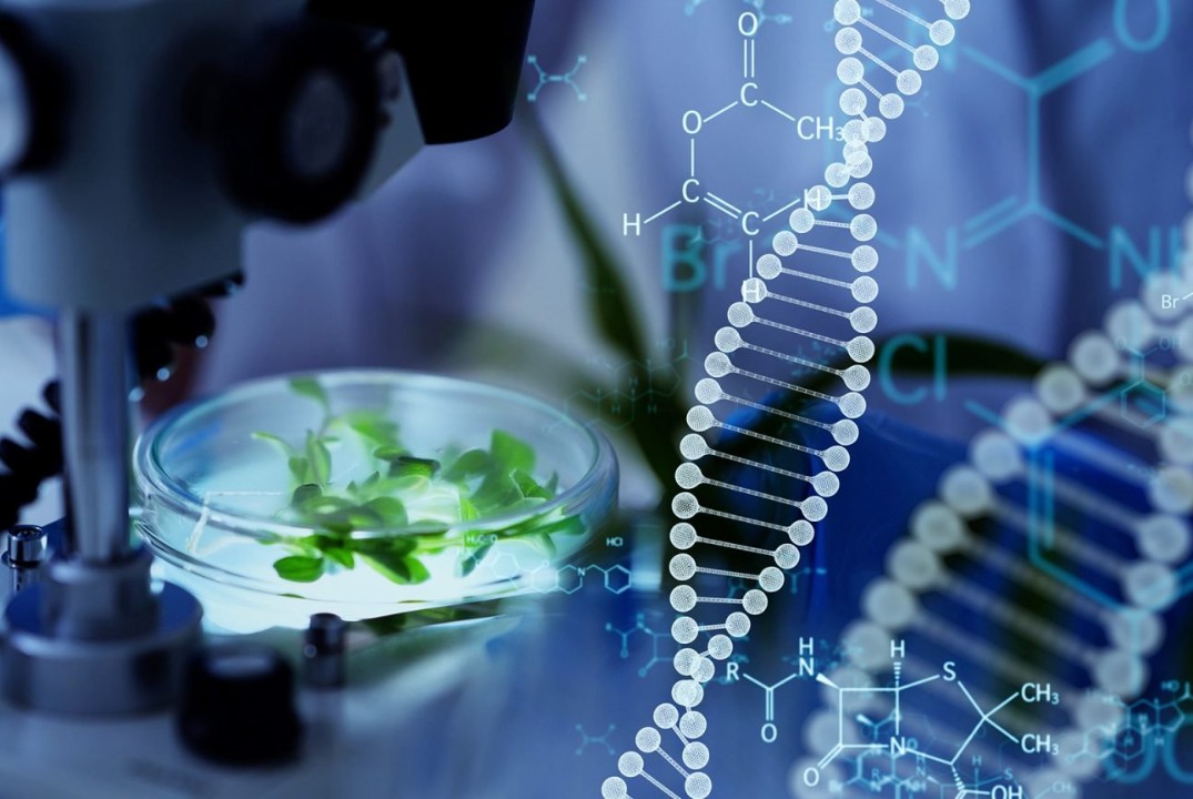 "PROпрактика" для студентов Института биологии и биотехнологии