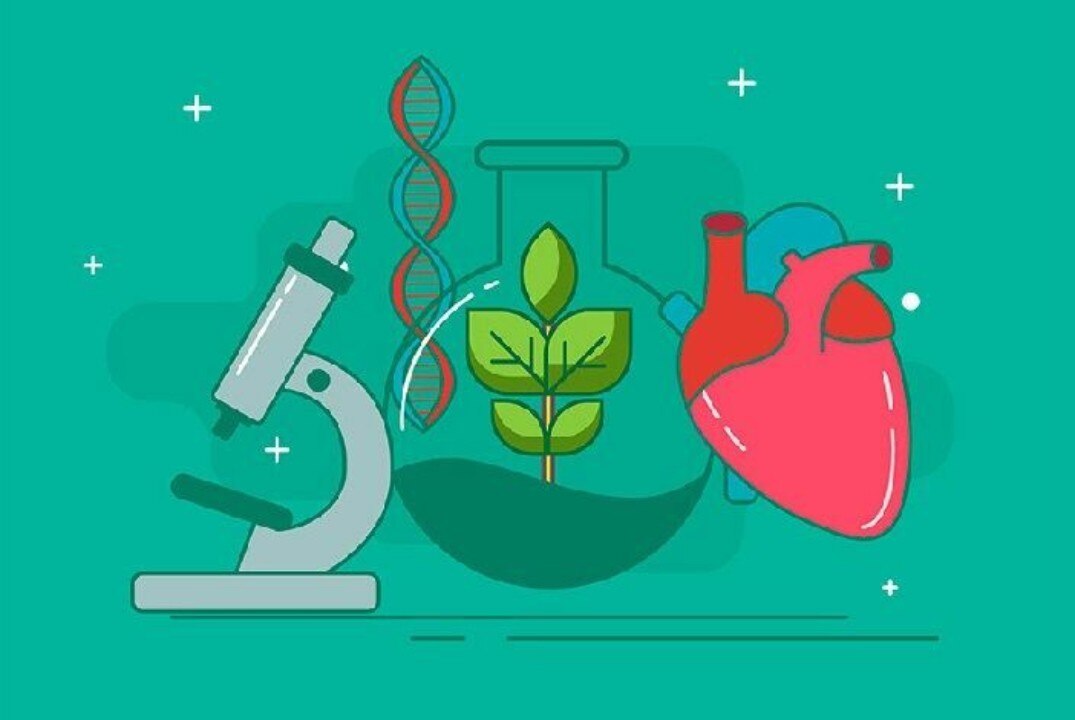 Научно-просветительское мероприятие «БИОквиз» для студентов и сотрудников Института биологии и биотехнологии