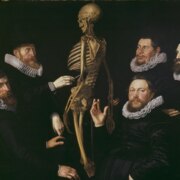 Доманина Анастасия Максимовна