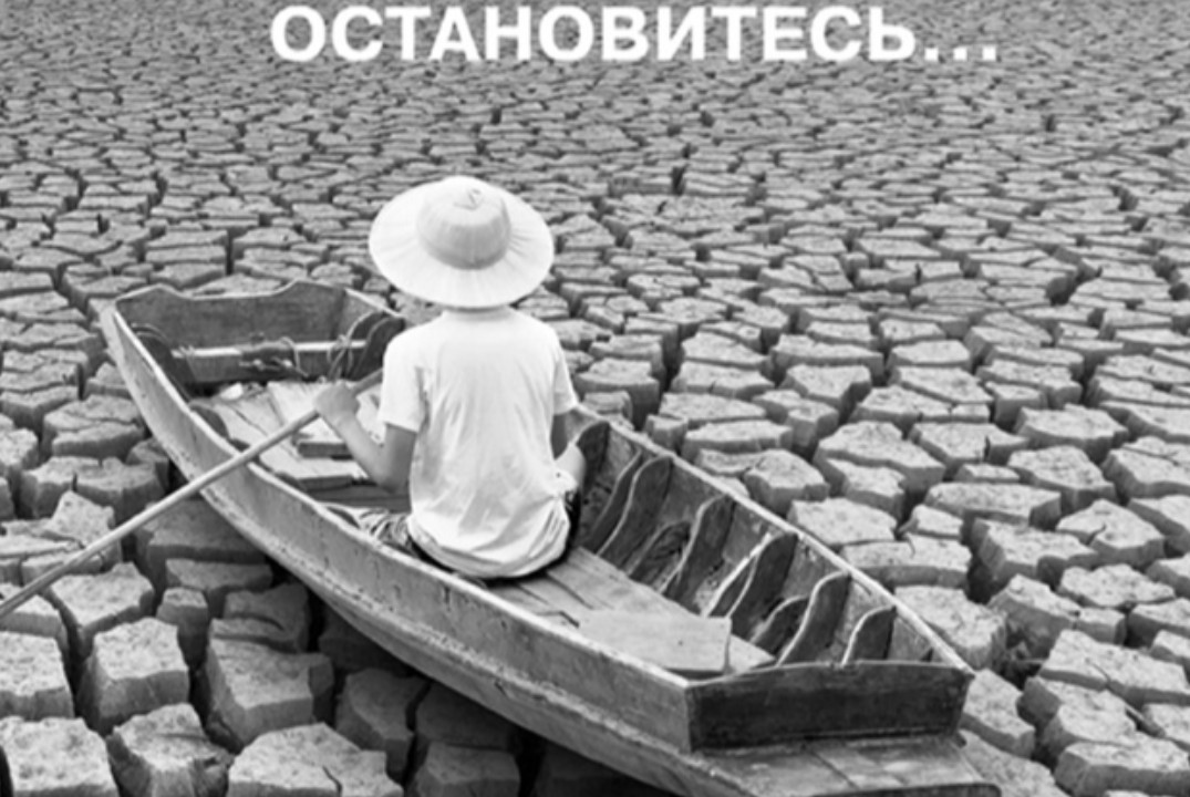 Книжный Клуб "Как управлять корпоративным племенем" (Даниэль Браун, Итске Крамер)