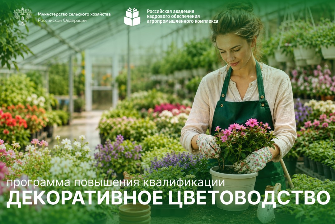 Декоративное цветоводство