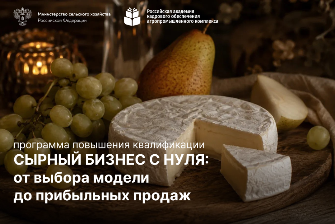 СЫРНЫЙ БИЗНЕС С НУЛЯ: от выбора модели до прибыльных продаж
