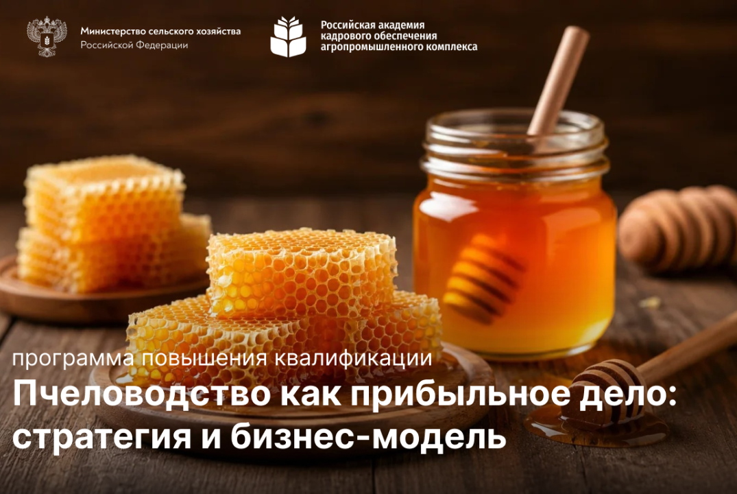Пчеловодство как прибыльное дело: стратегия и бизнес-модель
