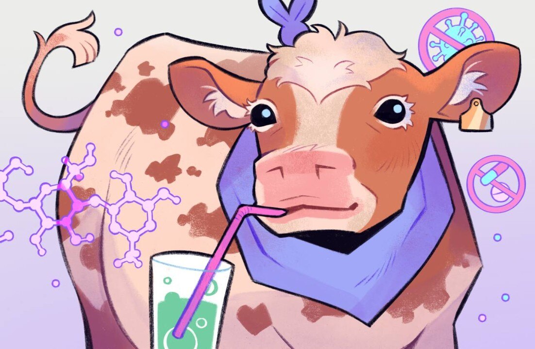 «Миникор»: передовые биотехнологии для животноводства