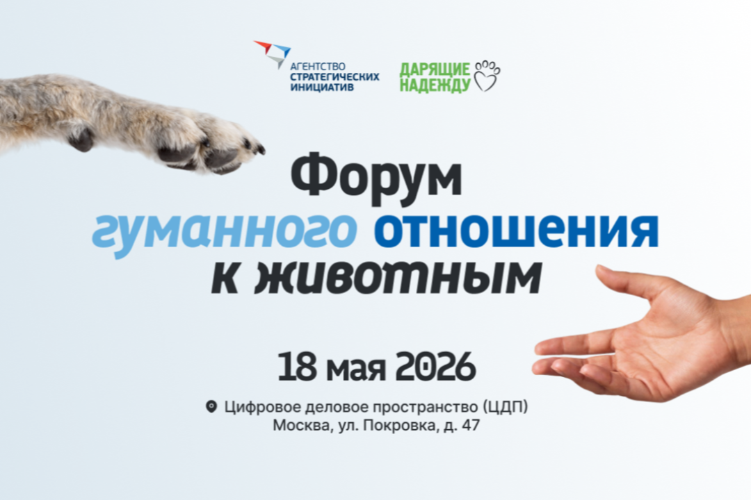 Обсудите гуманное обращение с животными и разработайте вместе с зоозащитниками лучшие практики