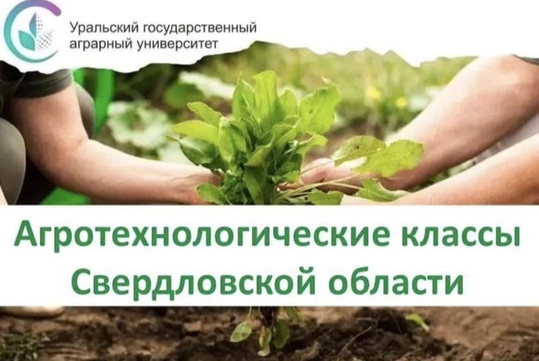 УрГАУ. Агрошкола – профессиональная ориентация в подготовке кадров для АПК. Международный Форум