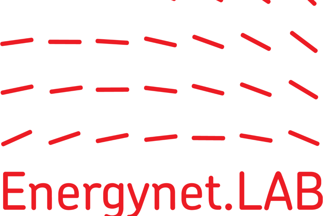 EnergyLab.СПБПУ. Отчет практического задания "Ввод параметров распределительной сети "