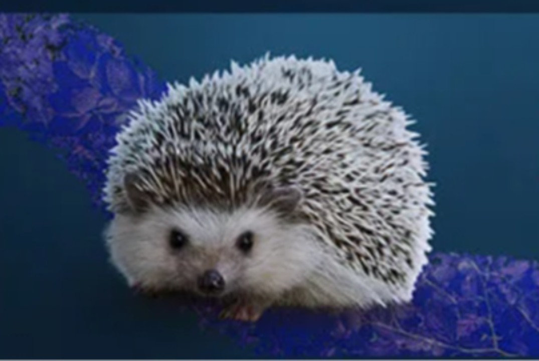 Тайный Санта среди ветеранов студенческого совета ФАСТИВ